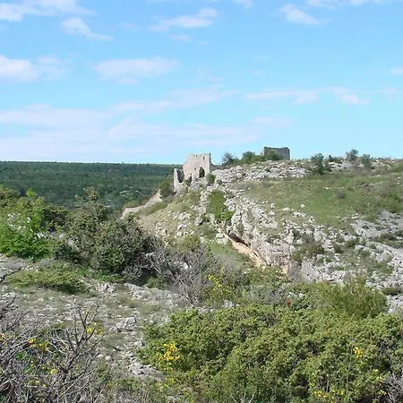 Batarilo * ゴルニ・カリン